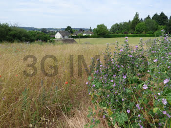 terrain à Montoire-sur-le-Loir (41)