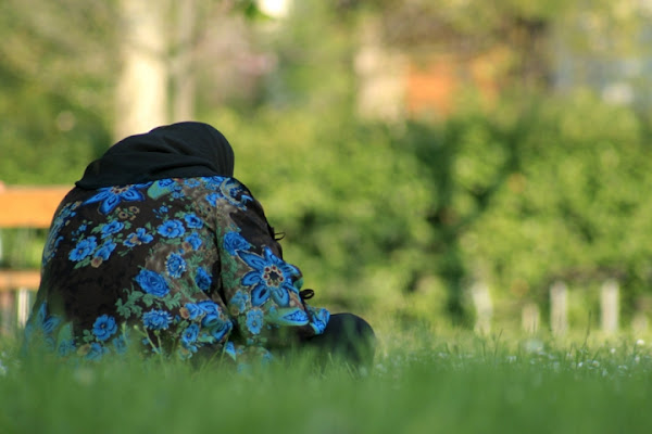 Meditazione di bucefalo