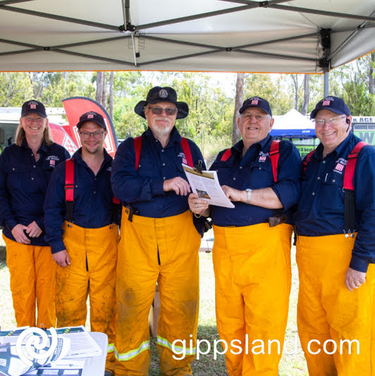 Sarsfield was one of the most heavily impacted towns during the Black Summer bushfires, of the 270 homes in Sarsfield prior to the fires, 200 properties were damaged, and 80 homes were completely destroyed by the bushfires