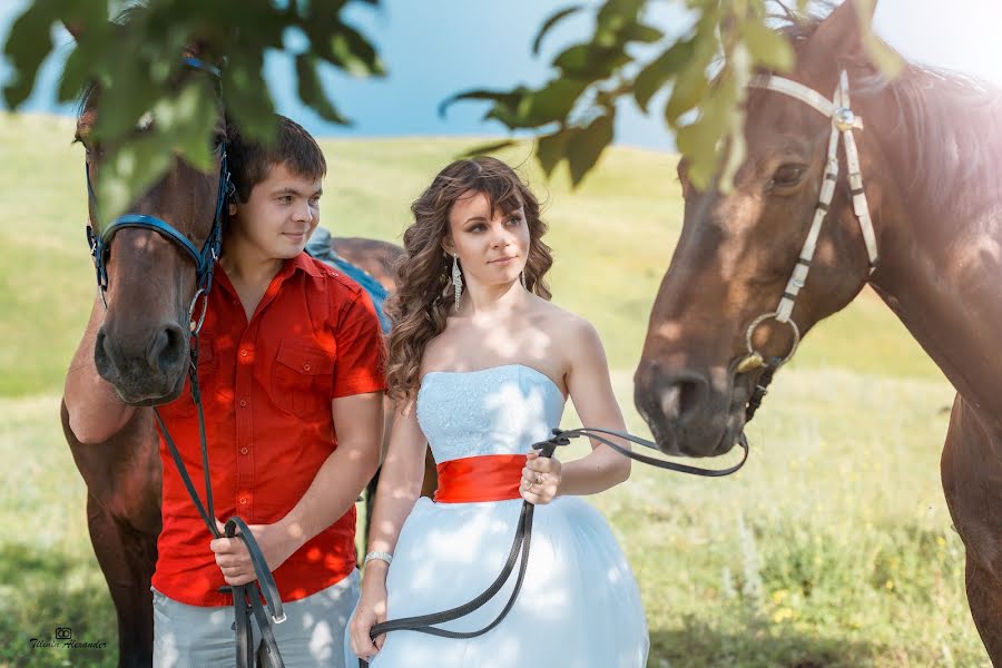 Photographe de mariage Aleksandr Tilinin (alextilinin). Photo du 2 mai 2016