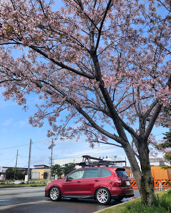 フォレスターのケンボー☆さんが投稿したカスタム事例の投稿画像1枚目