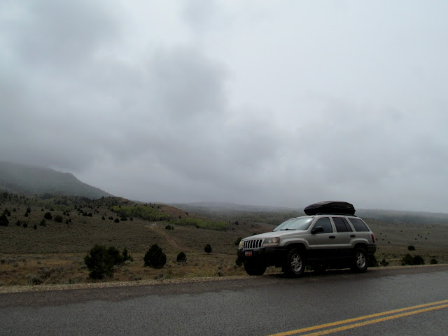 Low clouds and rain in Whitmore Park