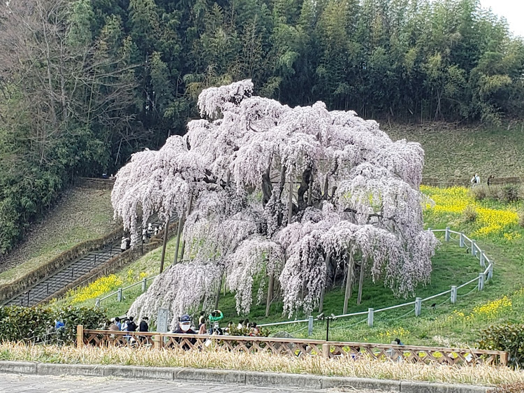 の投稿画像1枚目