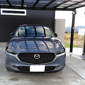 CX-30