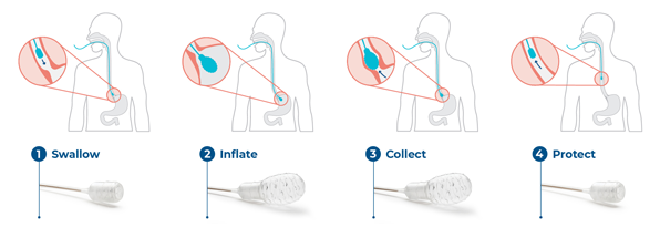 Diagram

Description automatically generated