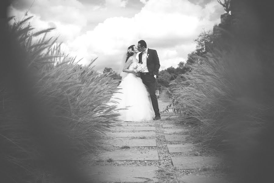 Fotografo di matrimoni Homero Rodriguez (homero). Foto del 10 gennaio 2016