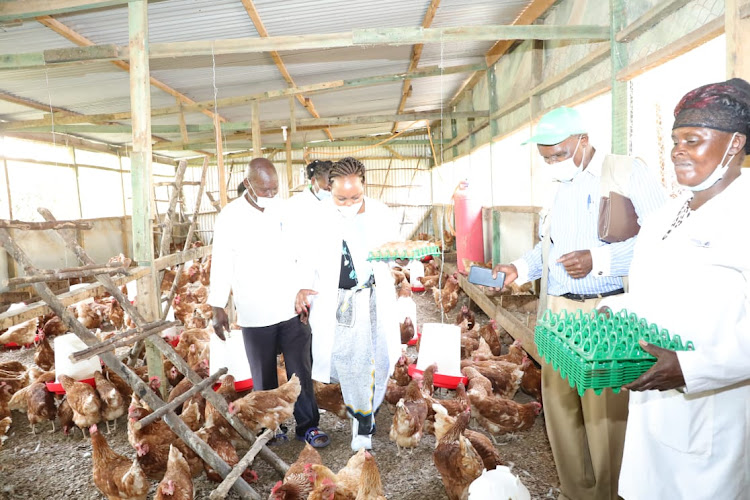 Kirinyaga Governor Anne Waiguru (holding a tray of eggs) at Mkulima Bora poultry farm in Ndia .