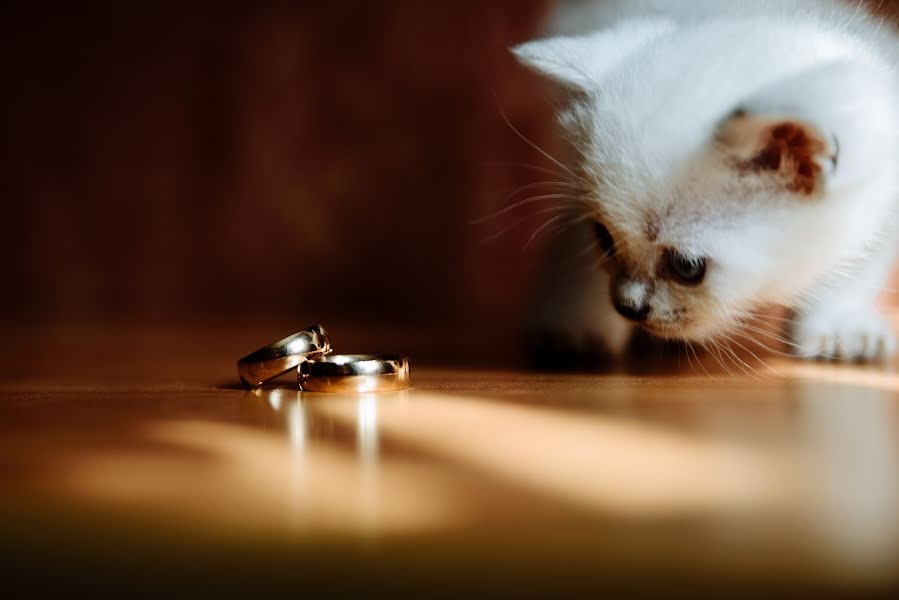 Fotógrafo de bodas Evgeniy Gololobov (evgenygophoto). Foto del 13 de agosto 2018