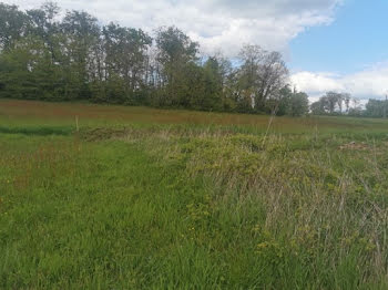 terrain à Saint-Antoine-du-Rocher (37)