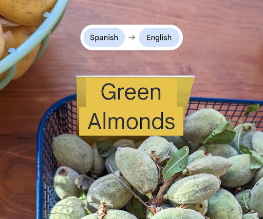 Pixel 8a's Live Translate feature to translates a tag on some produce. The phone displays the translated tag as  "Green Almonds."