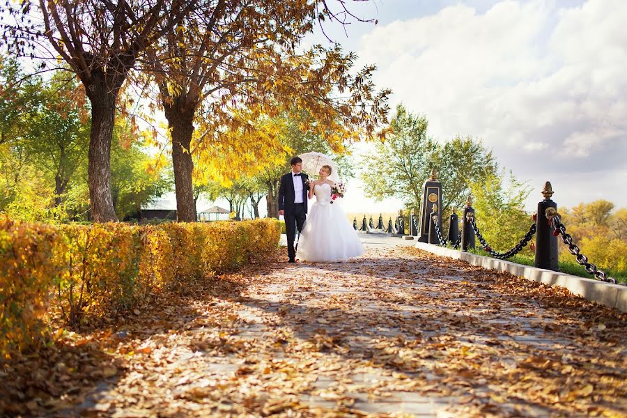 Photographe de mariage Marina Dushatkina (dmarina). Photo du 18 octobre 2013