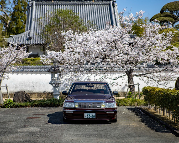 の投稿画像3枚目