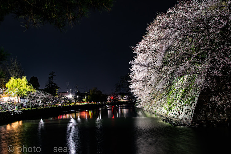 C-HRの闇活・🌸桜を撮る会🌸・遠征感謝😍😍・初コラボありがとうございます😍😍・🌸夜桜お七🌸に関するカスタム事例の投稿画像6枚目