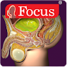 Urology - Medical Dictionary icon