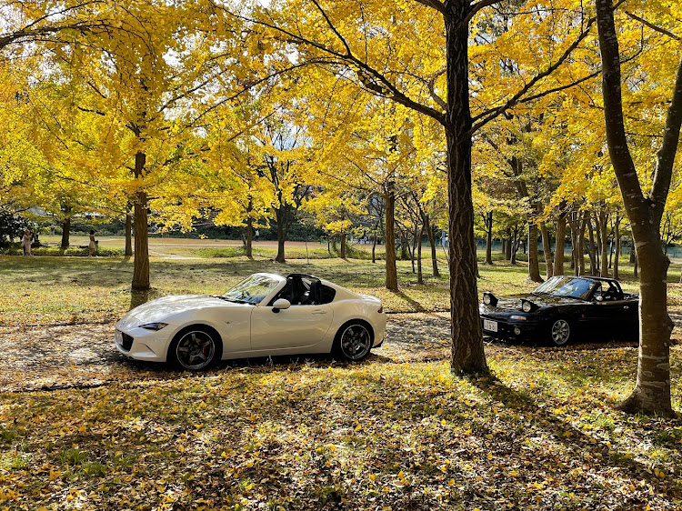 ロードスターの銀杏並木・紅葉と愛車・ND RF・NDロードスター・おはエンに関するカスタム事例の投稿画像8枚目