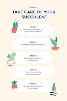 Care of Your Succulent - Pinterest Promoted Pin item