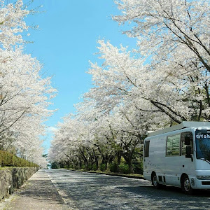 シビリアン