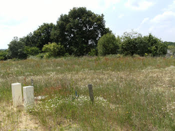 terrain à Cholet (49)