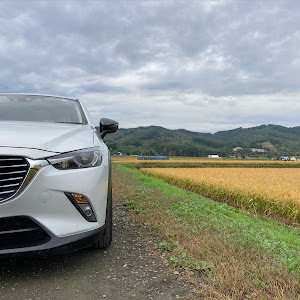 CX-3 DK5AW