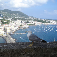 Ischia view! di 