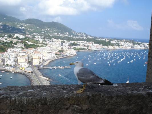 Ischia view! di marcolamonaca