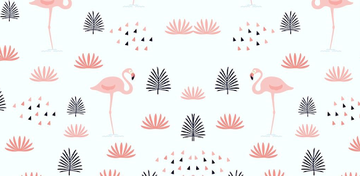 Cute Flamingo Wallpaper 21 On Windows Pc Download Free 1 0 2 Com Wallapp Cuteflamingowallpaper Backgrounds