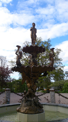 Neptun Fountain 