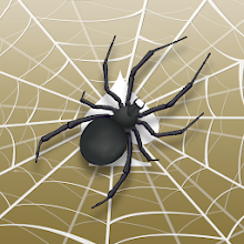 Spider Solitaire Download on Windows