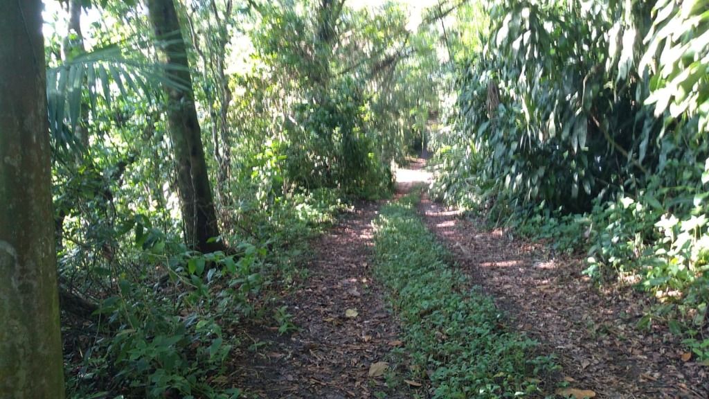 Terrenos à venda Cidade Nova Peruibe