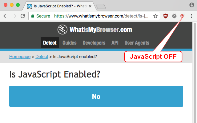 Disable JavaScript Preview image 5