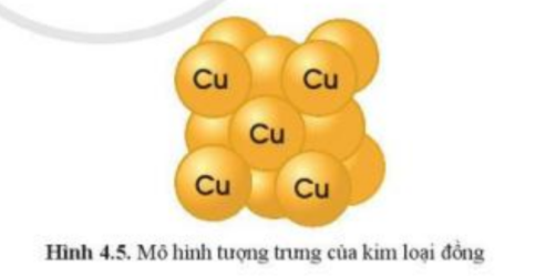 Câu hỏi trang 30 SGK TN&XH 7 CD tập 1