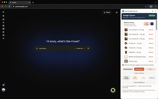 Gemini Batch Runner screenshot 3
