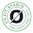Co.Fit Studio icon