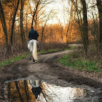 Il solitario di 