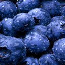 Blueberries HD Wallpapers New Tab Theme