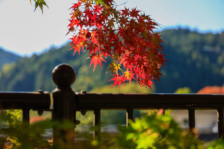 フィットの紅葉と愛車・紅葉に関するカスタム事例の投稿画像2枚目