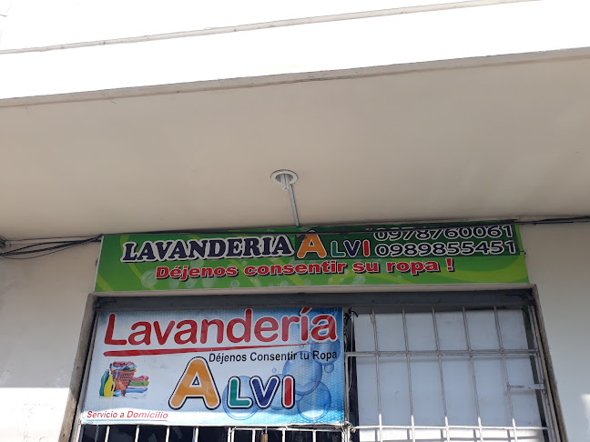 Lavandería La Mimosa