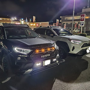 RAV4 AXAH54