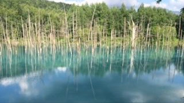 Eクラス セダンのドライブ・北海道・車中泊・カーフェリー・旅行に関するカスタム事例の投稿画像8枚目