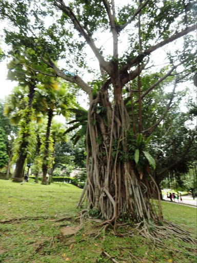 Kuala Lumpur Malaysia 2010