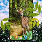 Cover Image of Herunterladen Forest Live Wallpaper 🌳 4K Wallpapers Themes 6.4.0 APK