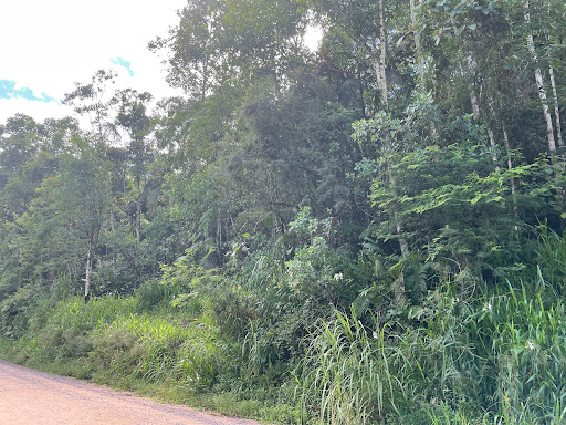 Lote/Terreno de 21472m² no bairro Aimore, em Guabiruba | Eu Corretor