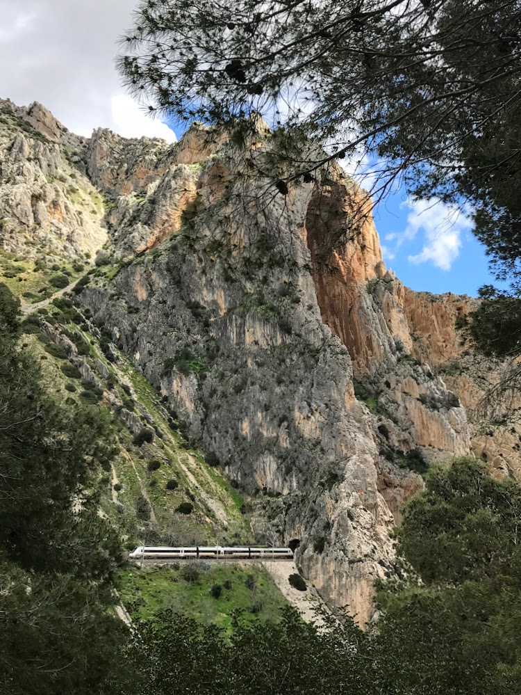 Весна в подарок (Мадрид, Андалусия, март 2018 года на общественном транспорте)