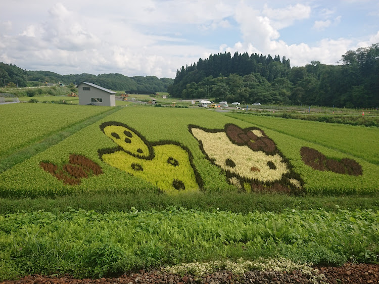 の投稿画像10枚目