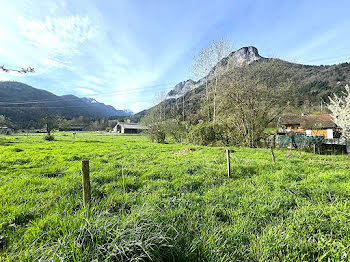 terrain à Doussard (74)