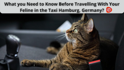 What you Need to Know Before Travelling With Your Feline in the Taxi Hamburg, Germany?