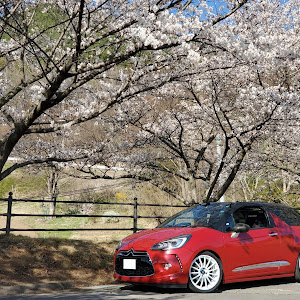 DS3 カブリオ A5C5G01