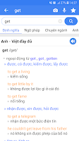 English Vietnamese Dictionary  Screenshot