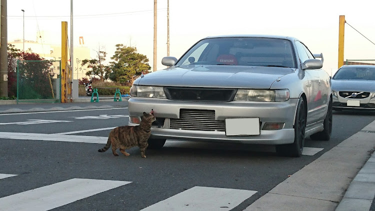 の投稿画像7枚目