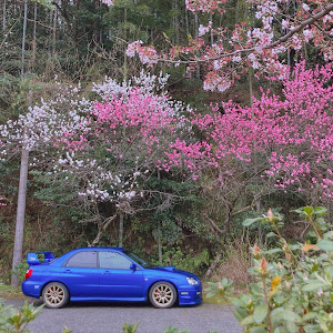 インプレッサ WRX GDA